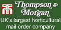 Thompson & Morgan - Thompson & Morgan - experts in the garden since 1855 Thompson & Morgan - experts in the garden since 1855